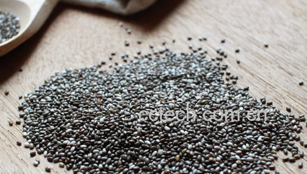 果蔬百科奇亚籽的副作用-0