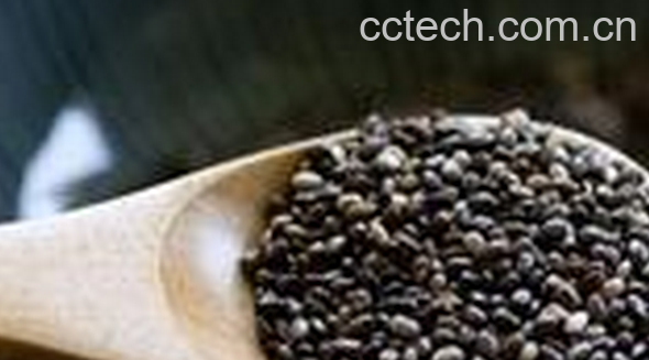 果蔬百科奇亚籽的功效与作用-0