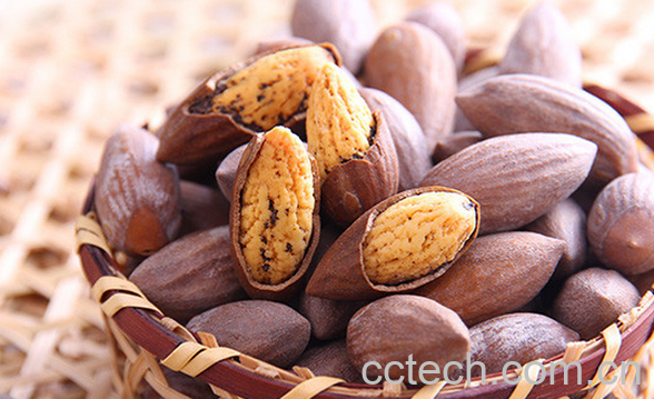 果蔬百科香榧子的功效与作用-0