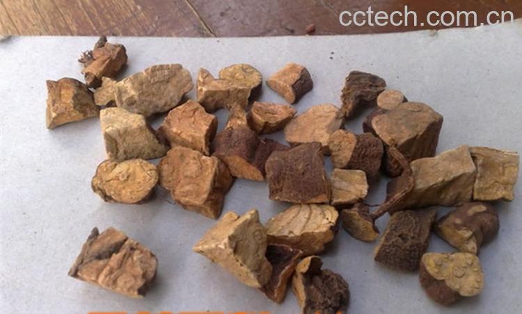 果蔬百科苍术的功效作用及食用方法-0