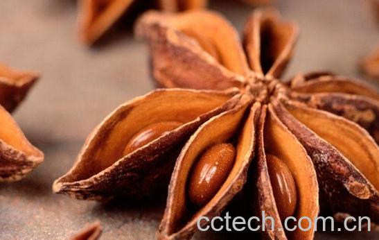 果蔬百科八角茴香-0