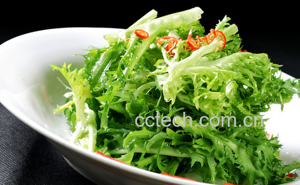 果蔬百科苦菊怎么做好吃-0