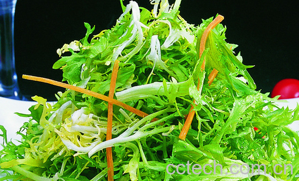 果蔬百科苦菊的功效与作用-0