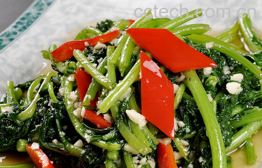 果蔬百科茼蒿怎么做好吃-0