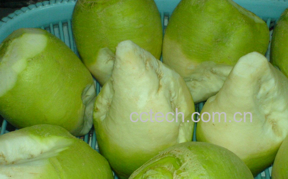 果蔬百科芥菜头的功效与作用-0