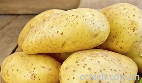 果蔬百科土豆的营养价值-0
