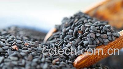 果蔬百科吃黑芝麻的好处 吃黑芝麻的禁忌-0