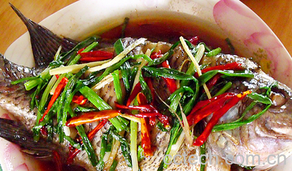 果蔬百科罗非鱼的功效与作用-0