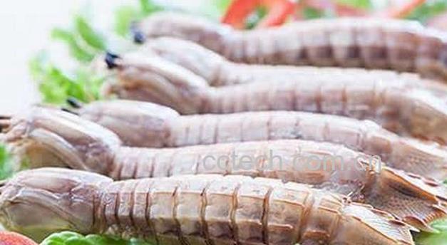 果蔬百科孕妇能吃濑尿虾吗-0