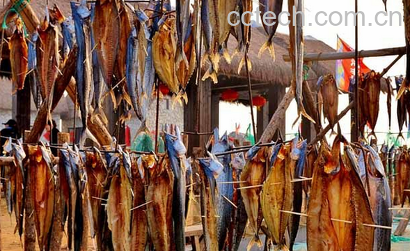 果蔬百科鱼干的功效与作用-0