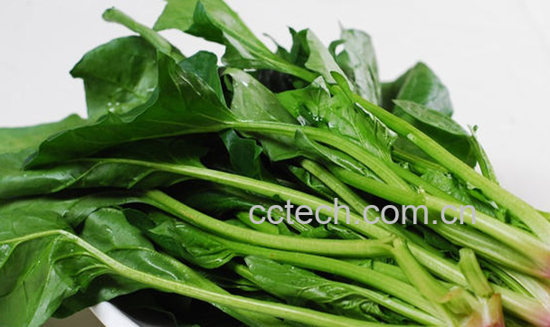 果蔬百科吃菠菜的好处有哪些-0