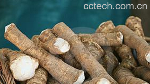 果蔬百科辣根的营养价值与功效-0