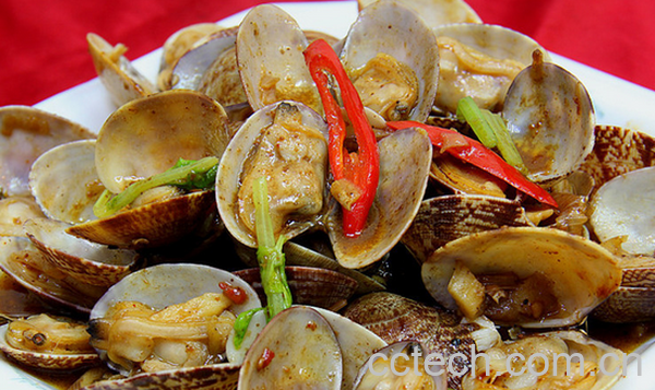 果蔬百科花蛤的功效与作用-0