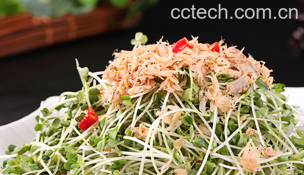 果蔬百科萝卜苗怎么吃-0