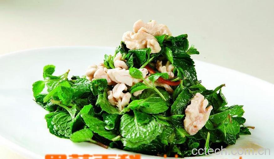 果蔬百科十香菜的功效与作用-0