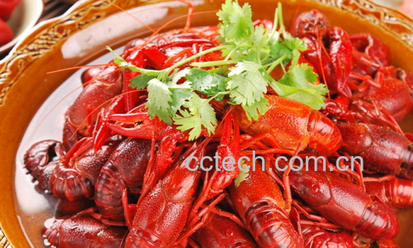 果蔬百科小龙虾能和啤酒一起吃吗-0