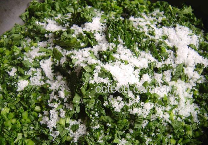 果蔬百科芥菜丝腌制方法 芥菜丝怎么做-0