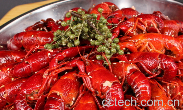 果蔬百科小龙虾的营养价值-0