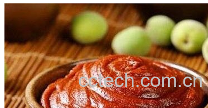 果蔬百科韩国辣椒酱的做法-0