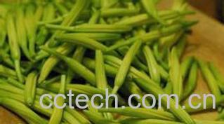 果蔬百科黄花菜的功效与作用-0