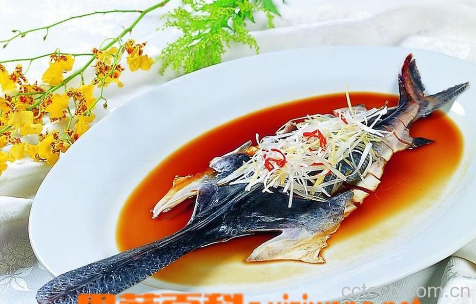 果蔬百科鸭嘴鱼做法大全 鸭嘴鱼的做法-0