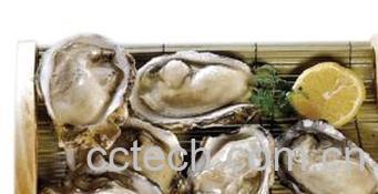 果蔬百科海蛎子的功效与作用-0