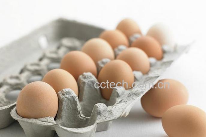 果蔬百科鸡蛋不能和什么一起吃 鸡蛋怎么吃健康-0