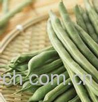 果蔬百科菜豆怎么做好吃 菜豆的做法-0