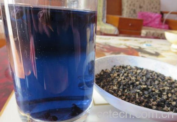 果蔬百科黑枸杞泡酒喝的功效与作用-0