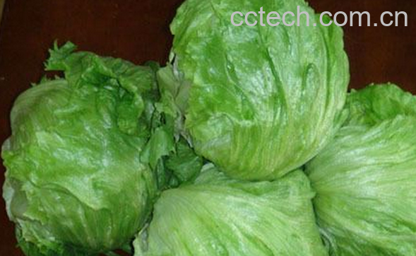 果蔬百科生菜球的功效与作用-0