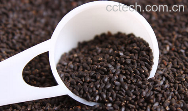 果蔬百科明列子的功效与作用-0