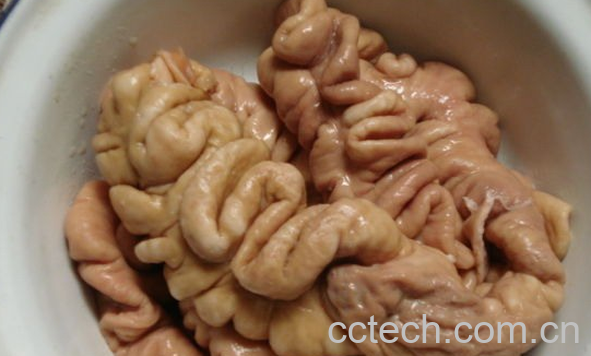 果蔬百科猪大肠怎么清洗-0