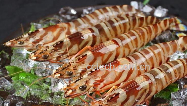 果蔬百科九节虾怎么做好吃 九节虾的做法-0