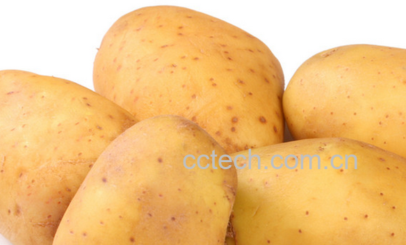 果蔬百科吃土豆的好处有哪些-0