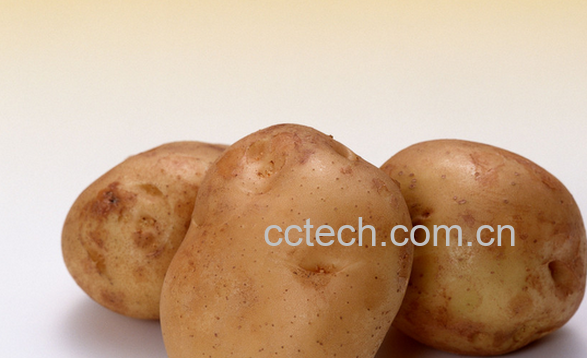 果蔬百科土豆的食疗功效与用法-0