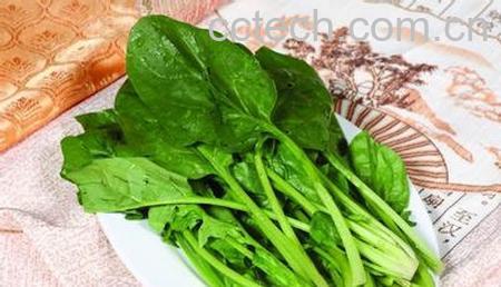 果蔬百科青菜的营养价值有哪些 青菜食用方法-0
