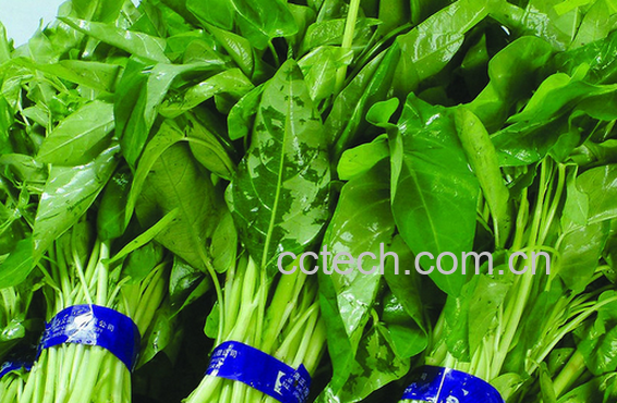 果蔬百科竹叶菜的功效与作用-0