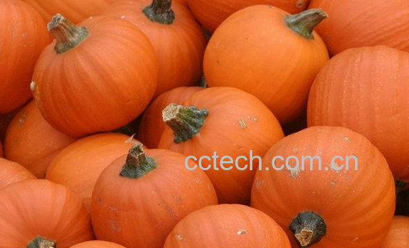 果蔬百科南瓜的营养价值与功效-0