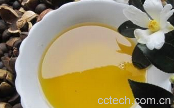 果蔬百科茶树籽油的功效与作用-0