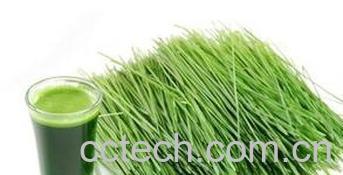 果蔬百科叶绿素的功效与作用-0