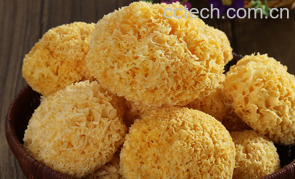 果蔬百科丑耳的功效与作用-0