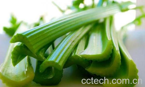 果蔬百科芹菜的功效 教你芹菜怎么做好吃-0