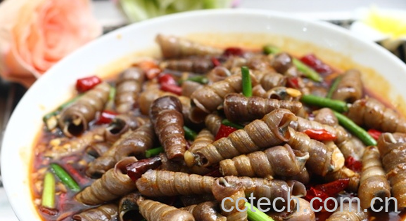 果蔬百科辣炒锥螺怎么做-0