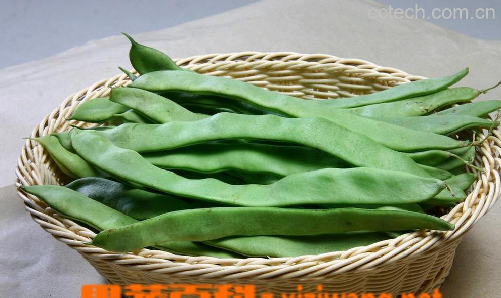 果蔬百科芸豆的做法大全 芸豆怎么做-0
