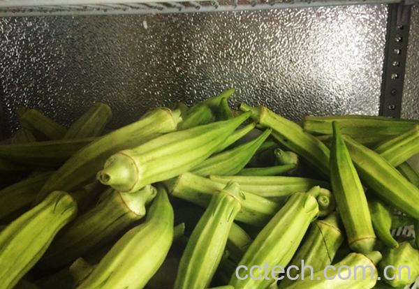 果蔬百科洋辣椒的功效和作用-0