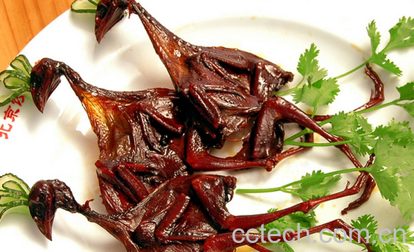 果蔬百科鹌鹑的功效与作用-0