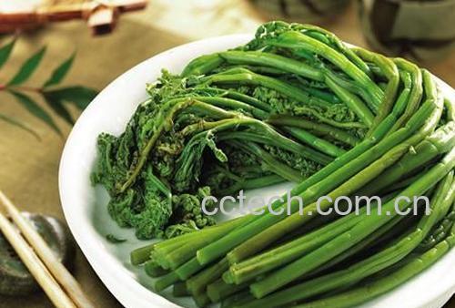 果蔬百科蕨菜的功效与作用-0