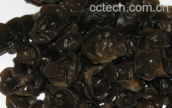 果蔬百科木耳的药用功效与用法-0