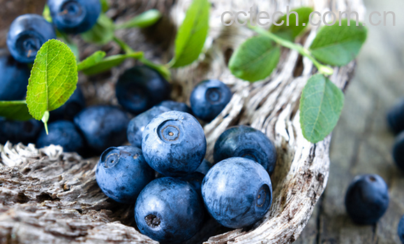 果蔬百科常见的紫色食品有哪些-0