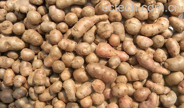 果蔬百科吃山药豆的好处有哪些-0